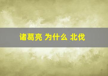 诸葛亮 为什么 北伐